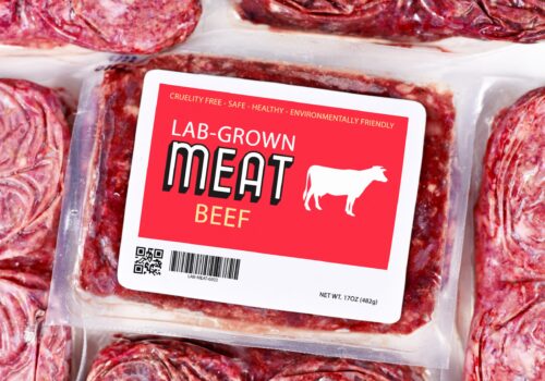 Lab,Grown,Cultured,Meat,Concept,For,Artificial,In,Vitro,Cell